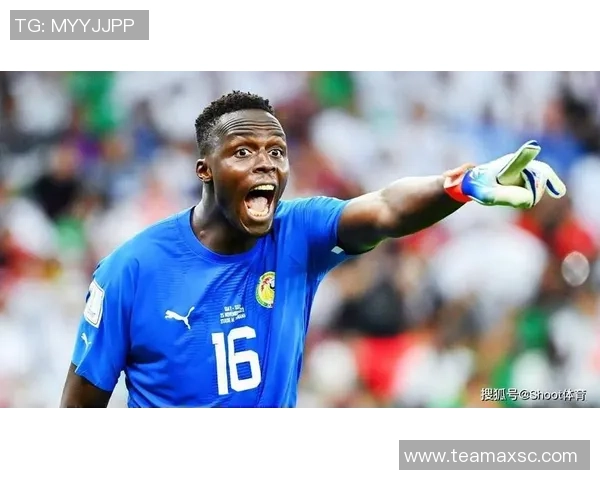 塞内加尔虽大胜伊朗却无缘晋级遗憾告别世界杯之旅